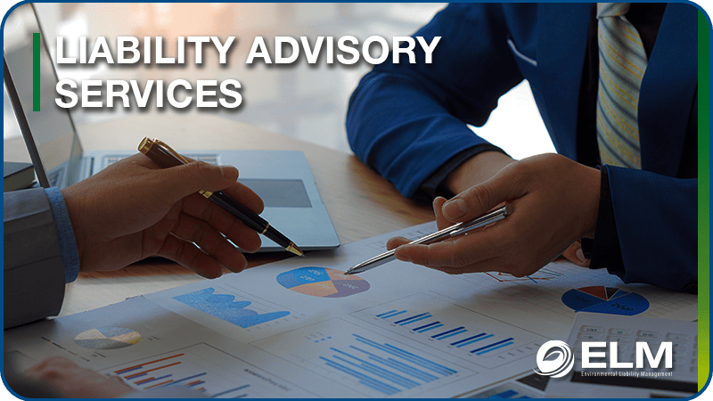 Liability Advisory Services