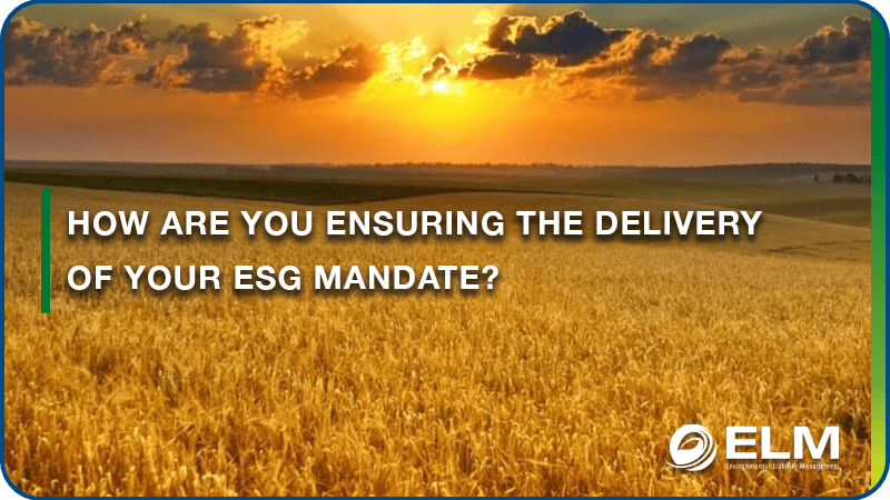 How are you ensuring the delivery of your ESG mandate?