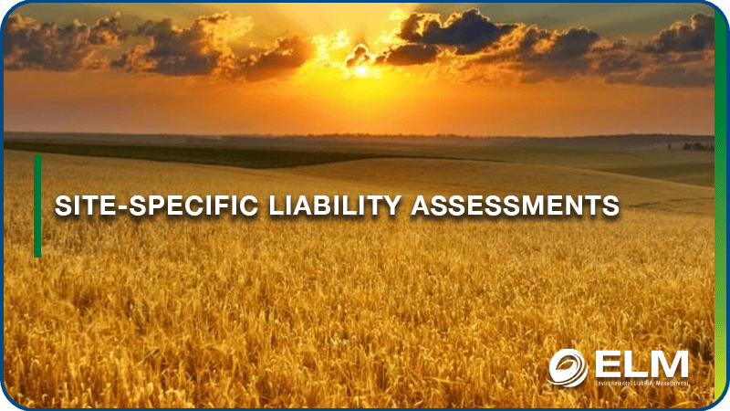 Site-Specific Liability Assessments