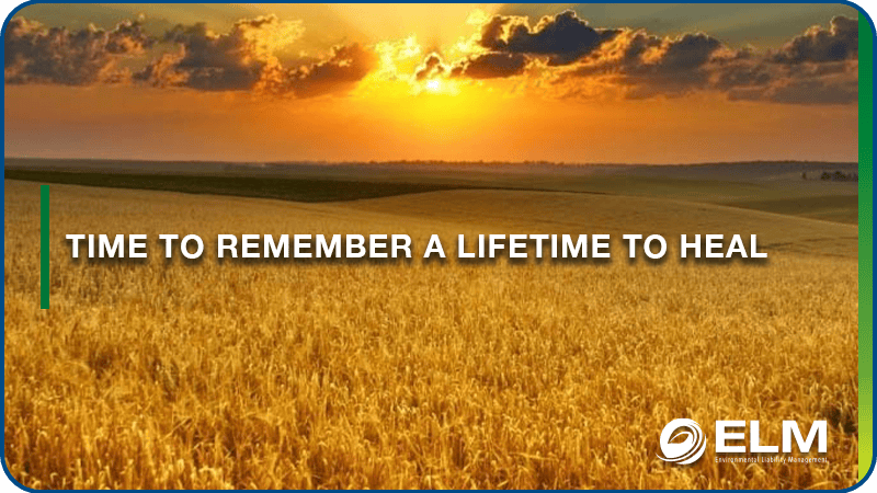 Time to remember a lifetime to heal