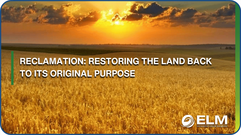 Reclamation: Restoring The Land Back To Its Original Purpose 